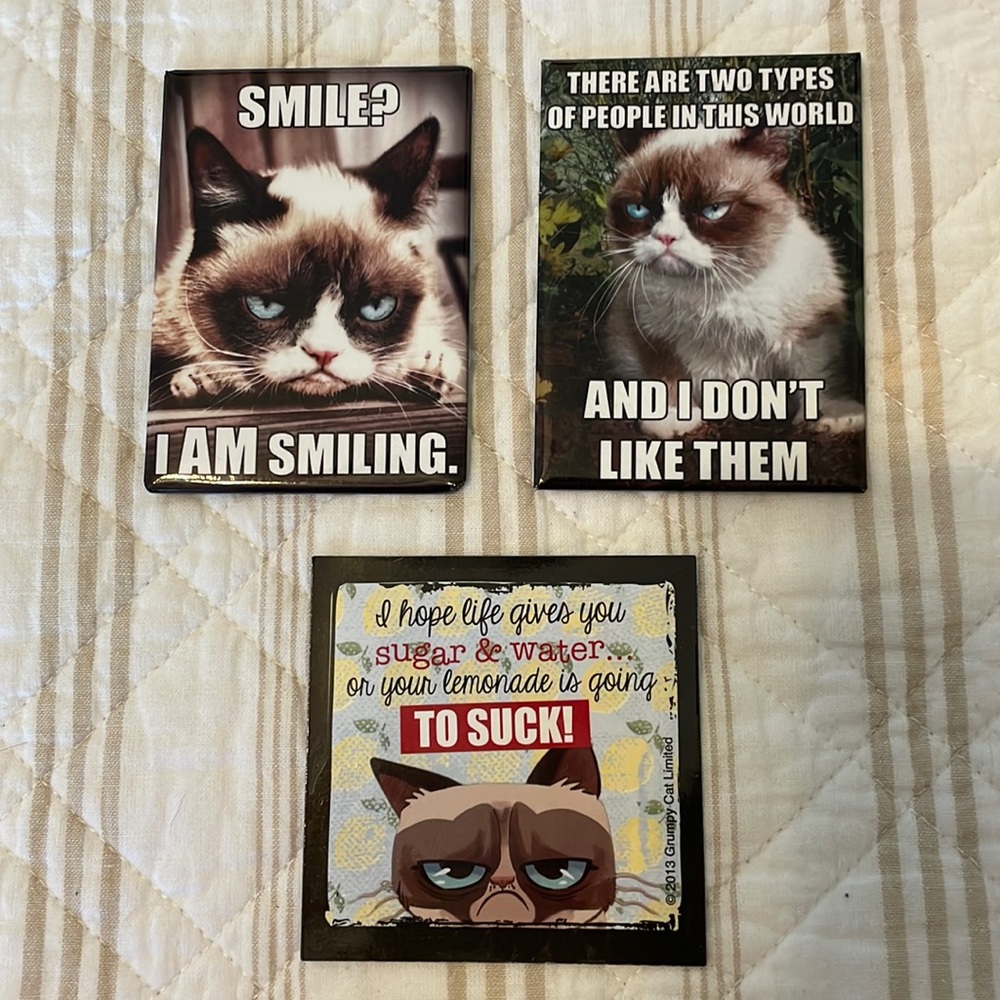 ❤️ 5/$25 - Grumpy Cat magnet set of 3